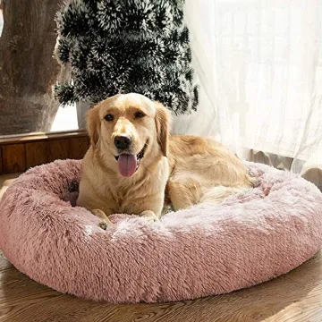 MFOX Calming Dog Bed for Medium Large Dogs Comfort