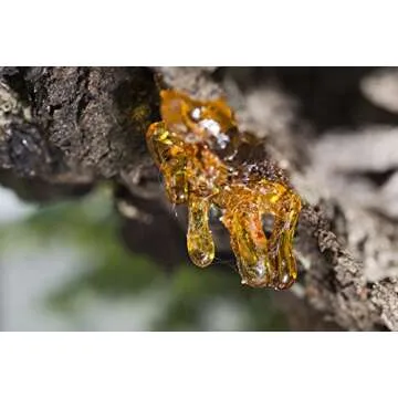 US Organic 100% Pure Frankincense Essential Oil, USDA Certified Organic, Steam Distilled, Boswellia serrata, Sourced from India, Topically or in Diffuser, Perfect for Aging Skin, All skin type (10 ml)