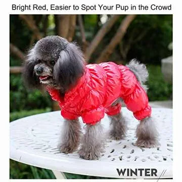 Warm YOUDirect Winter Dog Coat for Small Dogs