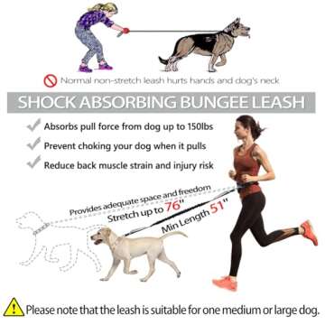 LANNEY Hands-Free Dog Leash for Jogging and Training