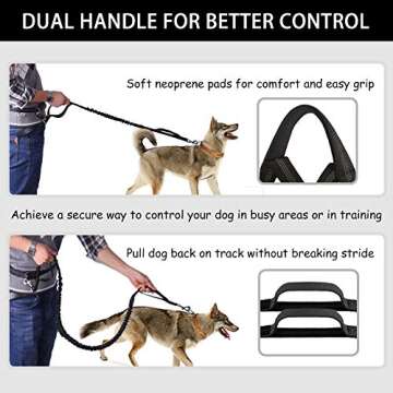 LANNEY Hands-Free Dog Leash for Jogging and Training