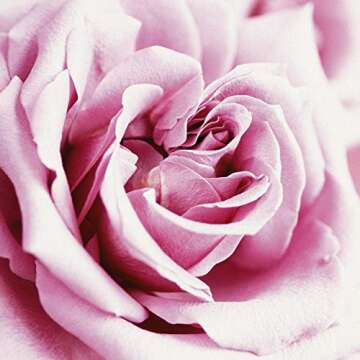 Paul Sebastian Women's Perfume, Fragrance by Paul Sebastian, Day or Night Scent, Eau de Parfum, CASUAL, 4 Fl Oz