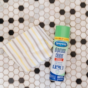 Sprayway SW5002R All Purpose Disinfectant Cleaner, Foaming Action, 19 Ounce