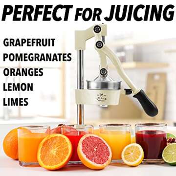 Zulay Kitchen Cast-Iron Orange Juice Squeezer - Heavy-Duty, Easy-to-Clean, Professional Citrus Juicer - Durable Stainless Steel Lemon Squeezer - Sturdy Manual Citrus Press & Orange Squeezer (Cream)