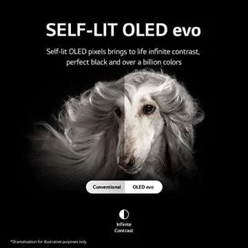 LG 97-Inch Class OLED evo Gallery Edition G2 Series Alexa Built-in 4K Smart TV, 120Hz Refresh Rate, AI-Powered, Dolby Vision IQ and Atmos, WiSA Ready, Cloud Gaming (OLED97G2PUA, 2022)