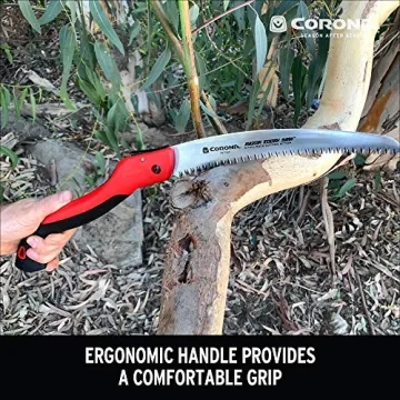 Corona 10-Inch RazorTOOTH Folding Saw for Easy Pruning