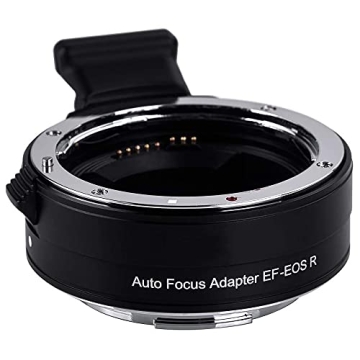 Canon EOS R6 Mirrorless Camera with Accessories Bundle