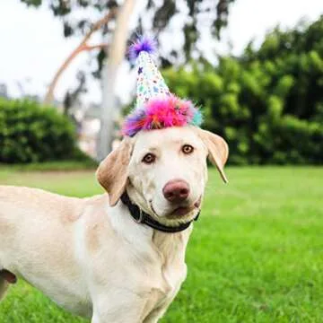 Huxley & Kent Pet Party Hat | Birthday Hat for Dogs and Cats