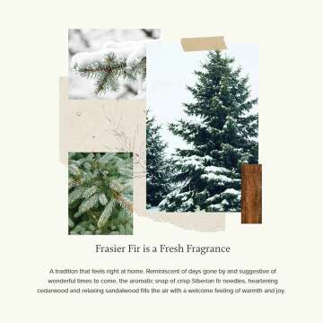 Pine Needle Frasier Fir Luminary Candle 16 Oz