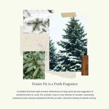 Pine Needle Frasier Fir Luminary Candle 16 Oz