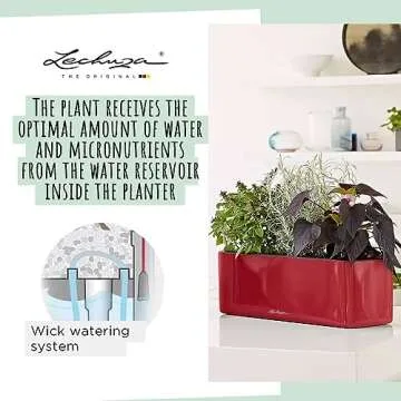 Stylish Lechuza Cube Glossy Planter for All Gardens