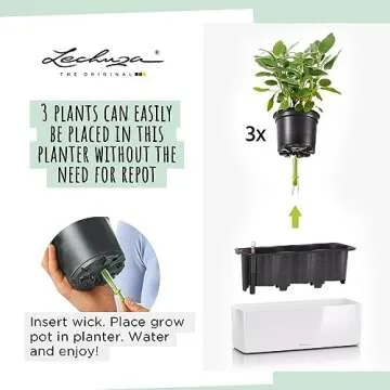 Stylish Lechuza Cube Glossy Planter for All Gardens