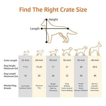 Amazon Basics Durable, Foldable Metal Wire Pet Crate with Tray, Portable and Sturdy for Travel, Single Door, Divider Panel, Perfect Size for Small Dogs, 22 Inches, Black