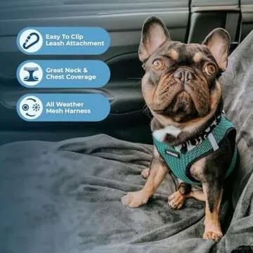 All Weather Reflective No Pull Harness for Pets