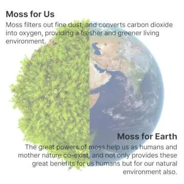 Mosslab Moss Air - Living Moss Humidifier | Aesthetic & Relaxing | Mindfulness & Meditation | Easy-Care Indoor Plants | Terrarium & Tabletop Decor | Mist Waterfall | Portable & Whisper-Quiet