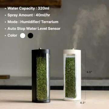 Mosslab Moss Air - Living Moss Humidifier | Aesthetic & Relaxing | Mindfulness & Meditation | Easy-Care Indoor Plants | Terrarium & Tabletop Decor | Mist Waterfall | Portable & Whisper-Quiet