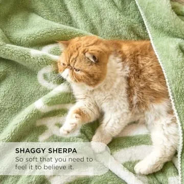 Bedsure Get Well Gifts for Women - Thinking of You Gifts for Women, After Surgery Healing Blanket with Inspirational Words, Cancer Care Blanket for Elderly & Adults, Green, 50x60 Inch