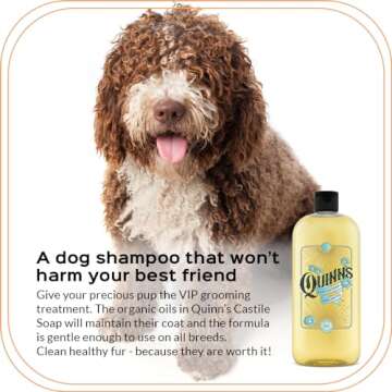 Quinn's Pure Castile Organic Liquid Soap, 32 ounce (Unscented)