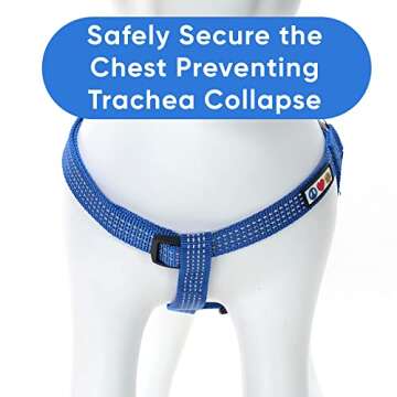 Pawtitas Dog Harness for Large Dogs Blue Dog Harness Step in from a Senior Dog to a Puppy Harness Adjustable Reflective Dog Harness S Reflective Dog Vest