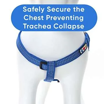 Pawtitas Dog Harness for Large Dogs Blue Dog Harness Step in from a Senior Dog to a Puppy Harness Adjustable Reflective Dog Harness S Reflective Dog Vest