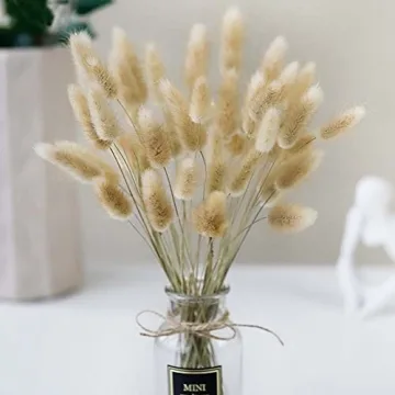 Natural Dried Bunny Tail Grass for Home Decor & Events