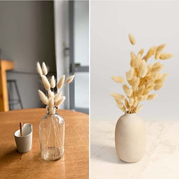 Natural Dried Bunny Tail Grass for Home Decor & Events