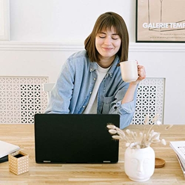 Natural Dried Bunny Tail Grass for Home Decor & Events