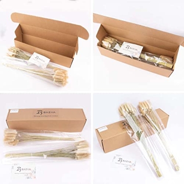 Natural Dried Bunny Tail Grass for Home Decor & Events