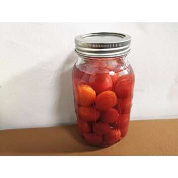 Mason Jars Shaker Lids Regular Mouth Sealing Lids for Mix Spices Canning Jar Lid Set of 4