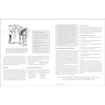 101 Ground Training Exercises for Every Horse & Handler (Read & Ride)