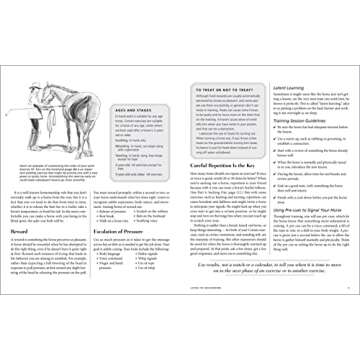 101 Ground Training Exercises for Every Horse & Handler (Read & Ride)