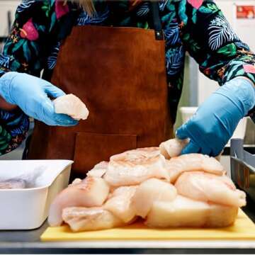 GP CRAFT Disposable Vinyl Gloves, Latex-Free, Powder-Free, Ambidextrous, Blue (1000 Count) (1 Case Pack, Extra Large)