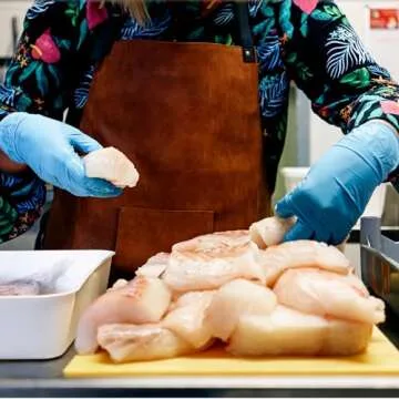 GP CRAFT Disposable Vinyl Gloves - Latex-Free & Powder-Free