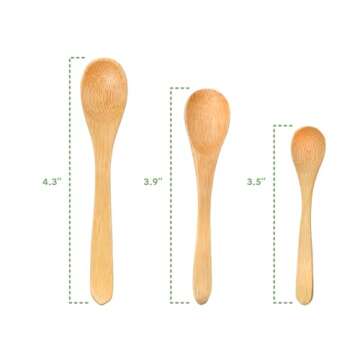 BambooMN Serving Spoons - Eco-Friendly Mini Spice Spoons