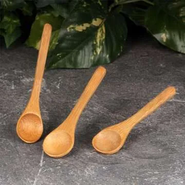 BambooMN Serving Spoons - Eco-Friendly Mini Spice Spoons
