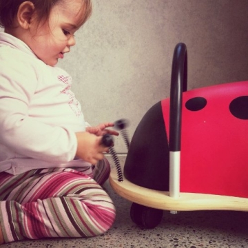 Prince Lionheart Wheely Bug Ladybug Ride-On Toy