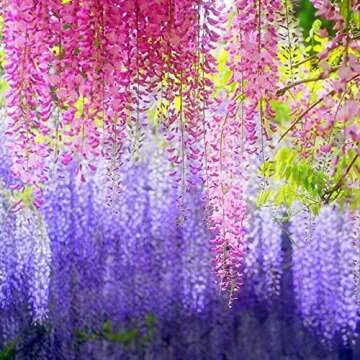 Stunning DearHouse 12 Pack Wisteria Artificial Garland