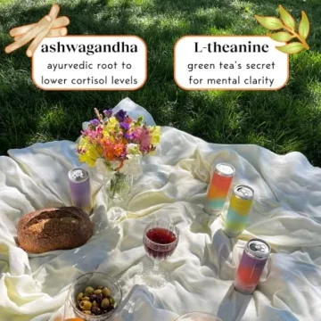 Moment Adaptogen Drink - Refreshing & Guilt-Free Option