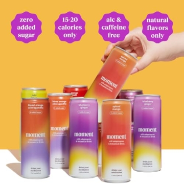 Moment Adaptogen Drink - Refreshing & Guilt-Free Option