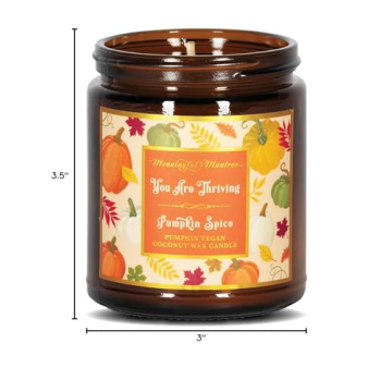Pumpkin Spice Aromatherapy Candle with Real Essential Oils | Non-Toxic Long Lasting