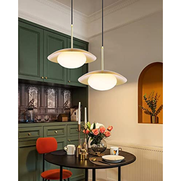 BAODEN Modern Pendant Lights Set of 2 for Stylish Homes