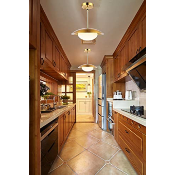 BAODEN Modern Pendant Lights Set of 2 for Stylish Homes