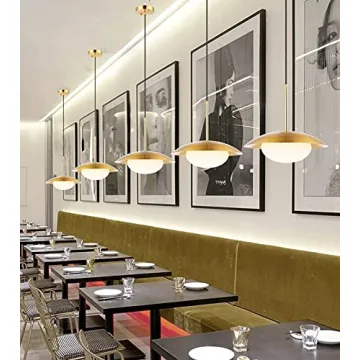 BAODEN Modern Pendant Lights Set of 2 for Stylish Homes