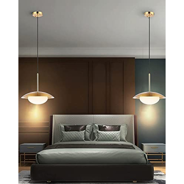 BAODEN Modern Pendant Lights Set of 2 for Stylish Homes