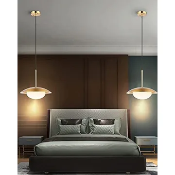 BAODEN Modern Pendant Lights Set of 2 for Stylish Homes