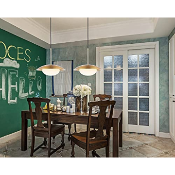 BAODEN Modern Pendant Lights Set of 2 for Stylish Homes