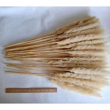 DongArts 60 Pcs Dired Small Pampas Grass Bunch, 23 Inch Natural Dried Reed Plumes for Wedding Decor (Light Yellow)