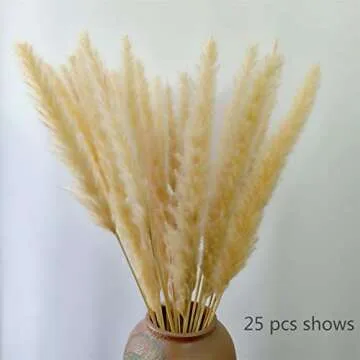 DongArts 60 Pcs Dired Small Pampas Grass Bunch, 23 Inch Natural Dried Reed Plumes for Wedding Decor (Light Yellow)