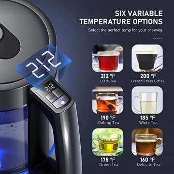 Electric Kettle with Temperature Control and 1500W Fast Boil
