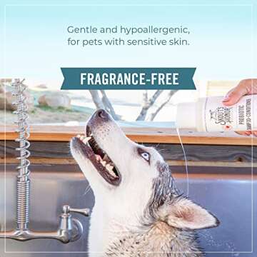 Skout's Honor Probiotic Pet Shampoo & Conditioner for Skin Health